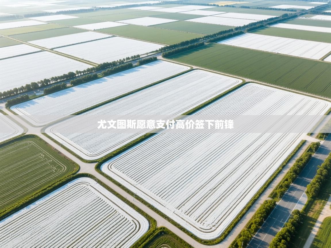 尤文图斯愿意支付高价签下前锋  第2张